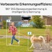 2x Reolink Argus Series B740X 4K Dual-Objektiv WLAN Überwachungskamera & 1x Reolink Hub 1 Sicherheitszentrale - Komplettset für Videoüberwachung