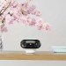 2x Reolink Argus Series B740X 4K Dual-Objektiv WLAN Überwachungskamera & 1x Reolink Hub 1 Sicherheitszentrale - Komplettset für Videoüberwachung