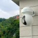Reolink E Series E540 5 MP WLAN PTZ Überwachungskamera mit Personen- und Fahrzeugerkennung