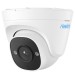 Reolink P324 5 MP IP PoE Dome Überwachungskamera mit intelligenter Personen- und Autoerkennung