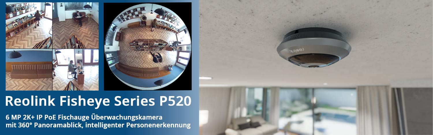 Reolink Fisheye Series P520 6 MP 2K+ IP PoE Fischauge Überwachungskamera 